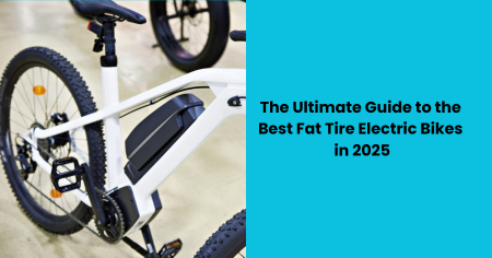 best-fat-tire-electric-bikes-2025