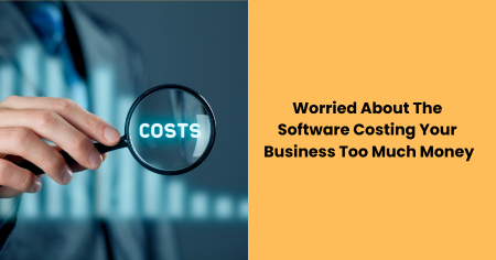software-costing-your-business-too-much